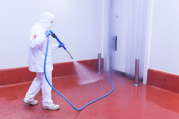 Best Roof Washing  in Royal Palm Beach, FL